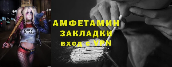 ГАЛЛЮЦИНОГЕННЫЕ ГРИБЫ Абаза