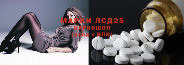 ГАЛЛЮЦИНОГЕННЫЕ ГРИБЫ Абаза