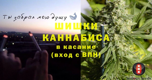 винт Алзамай