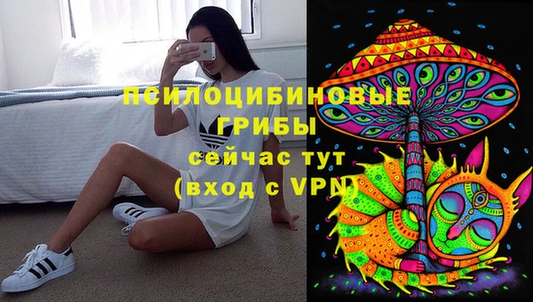 spice Абинск
