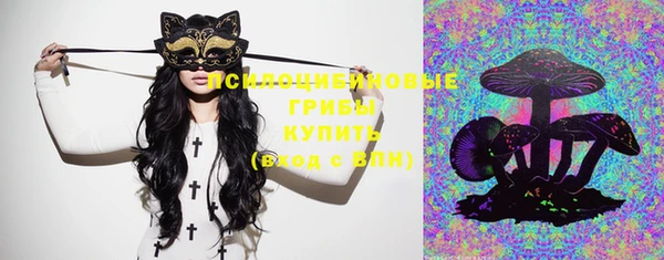 ешки Осинники
