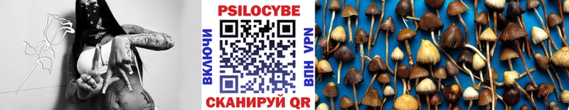Галлюциногенные грибы Psilocybine cubensis  наркотики  Красновишерск 